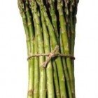 growing asparagus a bunch of asparagus spears, tied with a string