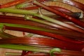 Rhubarb harvested rhubarb stalks