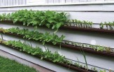 Gutter-gardens-image-by-Sarah-G