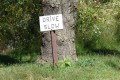 Drive Slow Image by Danielle Defrancesco Hand made sign saying "drive slow" in front of a tree.