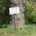 Drive Slow Image by Danielle Defrancesco Hand made sign saying "drive slow" in front of a tree.