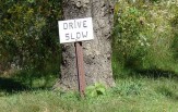 Hand made sign saying "drive slow" in front of a tree.