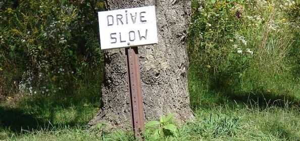 Drive Slow Image by Danielle Defrancesco Hand made sign saying "drive slow" in front of a tree.