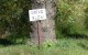 Hand made sign saying "drive slow" in front of a tree.