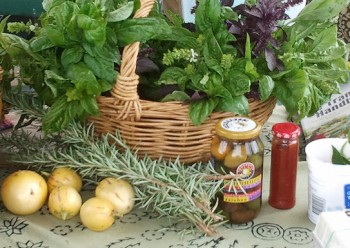 A basket of bunches of basil on a table with few fruit, sprigs of rosemary, and bottled goods in front of the basket.