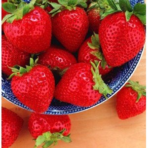 Ripe red Stawberries in a bowl