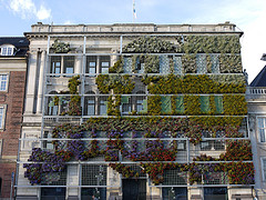 vertical-garden-Denmark-image-by-Tristan-Ferne