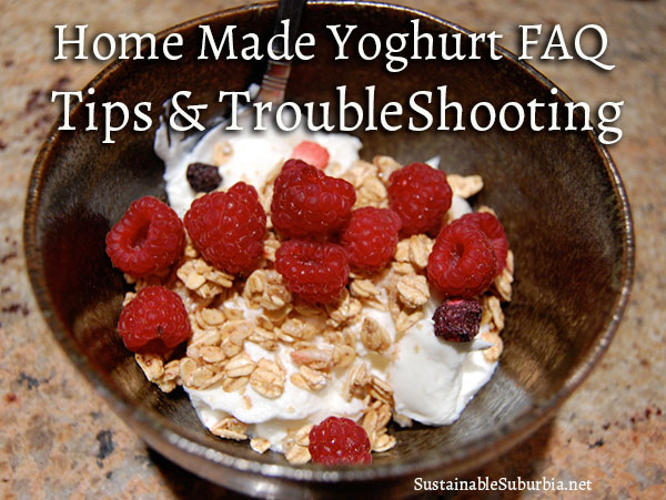 Home made Yoghurt FAQ, Tips & Troubleshooting | SustainableSuburbia.net