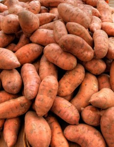 A jumble of orange sweet potatoes