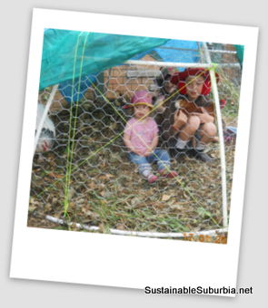 kids and chickens seen through chicken wire, inside a small chicken dome