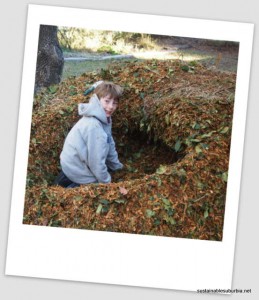 a pile of mulch with a hole dug out of the middle of it, and boy sitting in the hole, looking back at the camera