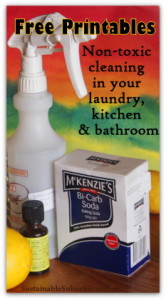 Free Printables: Non-toxic cleaning in your laundry, kitchen & bathroom