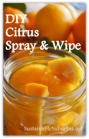 How to Make DIY Citrus Spray 'n' Wipe – Sustainable Suburbia