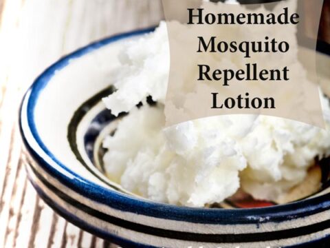 DIY Mosquito repellent lotion | SustainableSuburbia.net