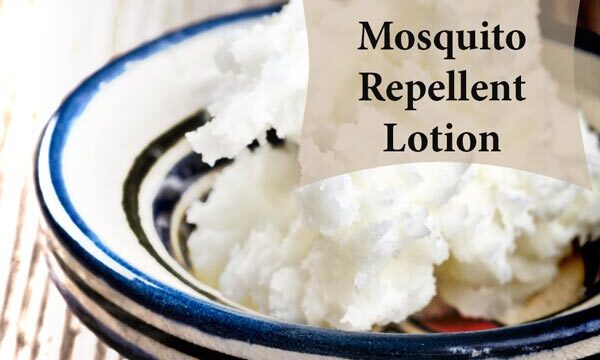 DIY Mosquito repellent lotion | SustainableSuburbia.net