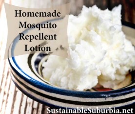 Homemade Mosquito Repellent Lotion | A bowl of Shea butter | SustainableSuburbia.net