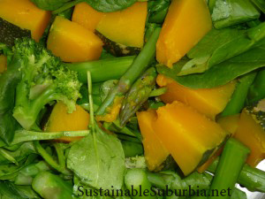 steamed vegetables - pumkin, asparagus, broccoli | SustainableSuburbia.net