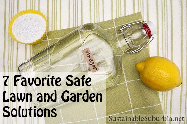 7 Favorite Safe  Lawn and Garden  Solutions | SustainableSuburbia.net