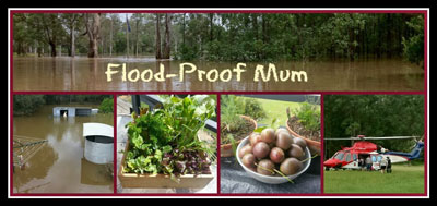 Flood Proof Mum | SustainableSuburbia.net