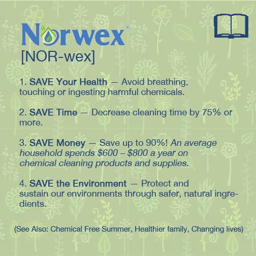 Sustainable Natural Cleaning with Norwex - The Way It Really Is