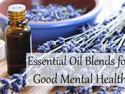 Essential Oil Blends for Better Mental Health | SustainableSuburbia.net