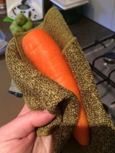 Norwex Veggie and Fruit Scrub Cloth