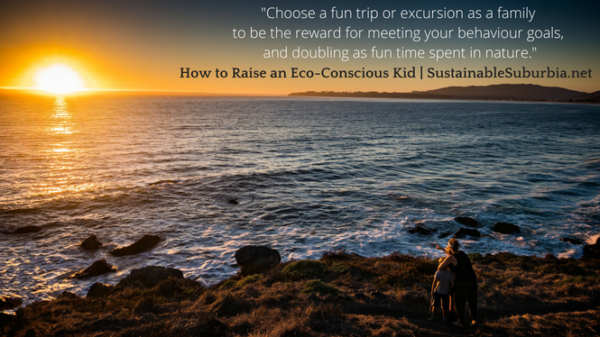 Choose a fun trip or excursion as a family to be the reward for meeting your behaviour goals, doubling as fun time spent in nature together | Now to Raise an Eco-Friendly Kid | SustainableSuburbia.net