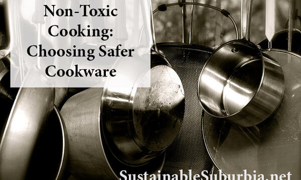 Non-Toxic Cooking: Choosing Safer Cookware | Sustainable Suburbia.net